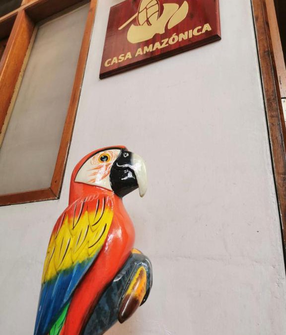 Iquitos House | Hospedaje Casa Amazónica Iquitos