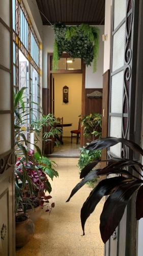Barrio Centro House | Hospedaje de Luz