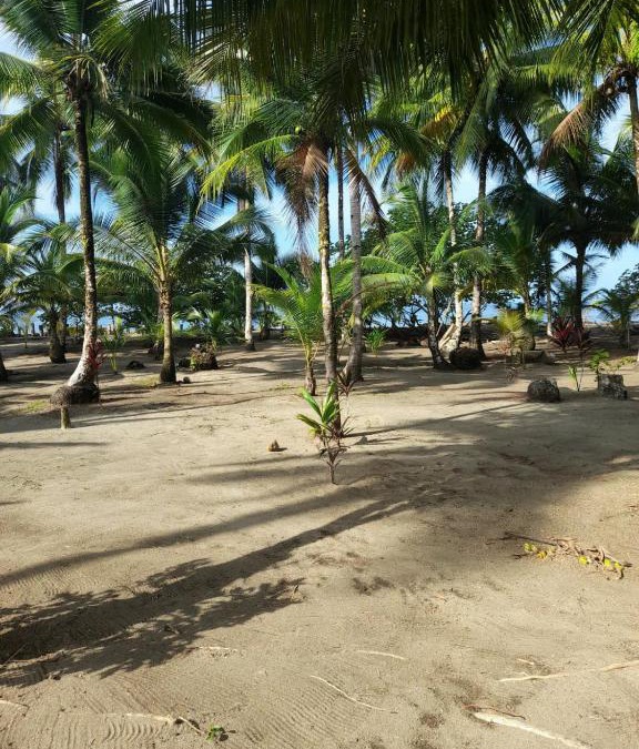 Bahia Solano House | HOSPEDAJE DOÑA NEL