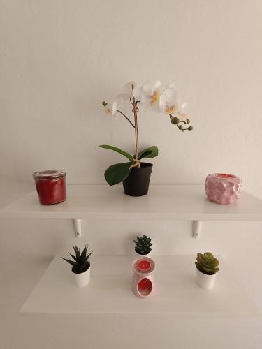 Texcoco Hotel | Hospedaje La Gloria