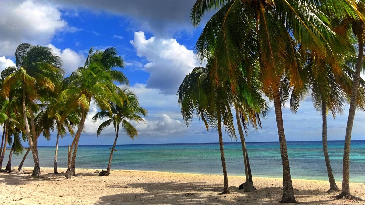 Municipality of Cienaga de Zapata Bed & Breakfast | Hostal Alejandro y Familia