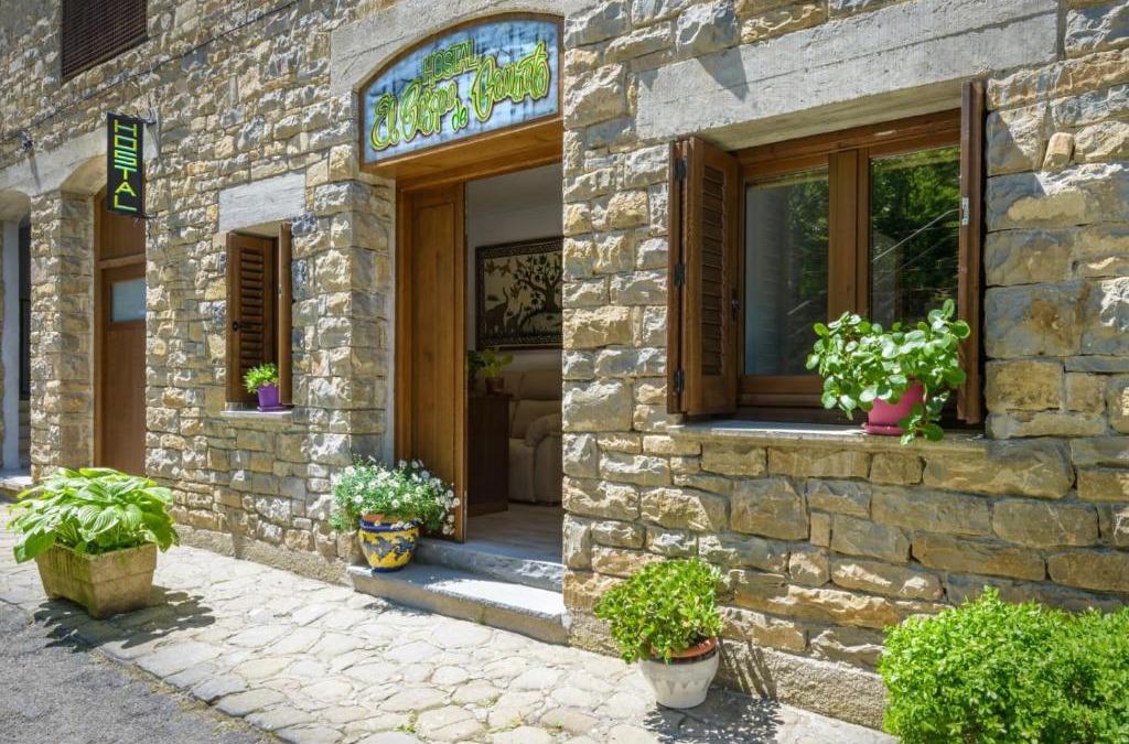 Anso House | Hostal Bosque de Gamueta