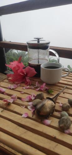 La Jagua de Ibirico House | Hostal el Forastero