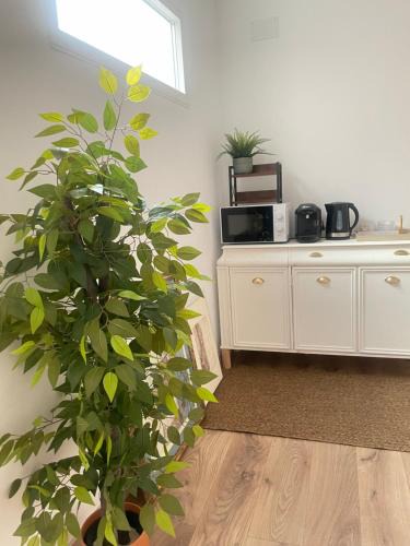 Martiherrero House | Hostal Jimena