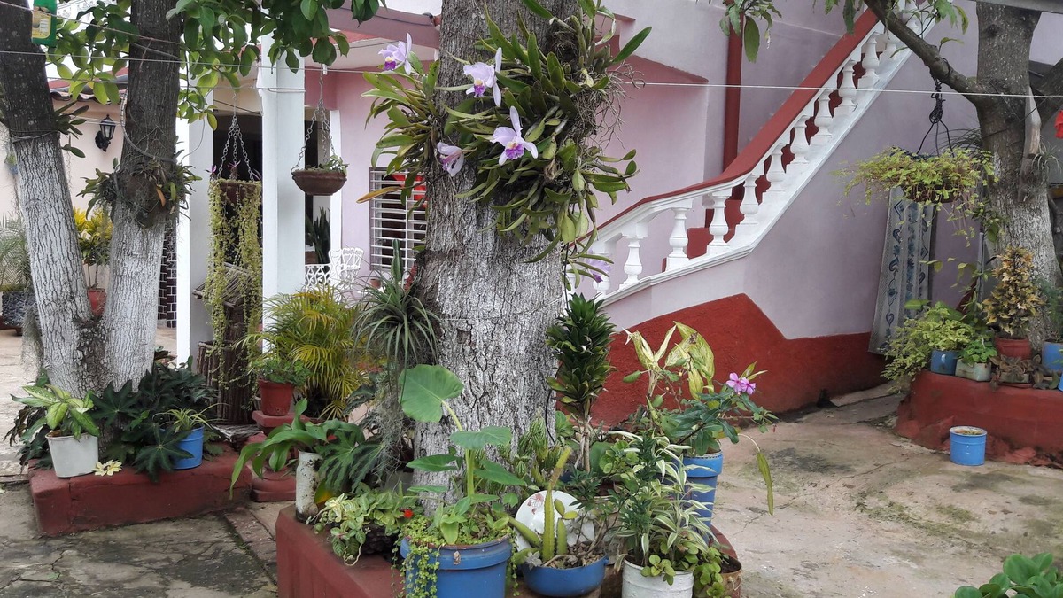 Remedios House | Hostal la Campiña
