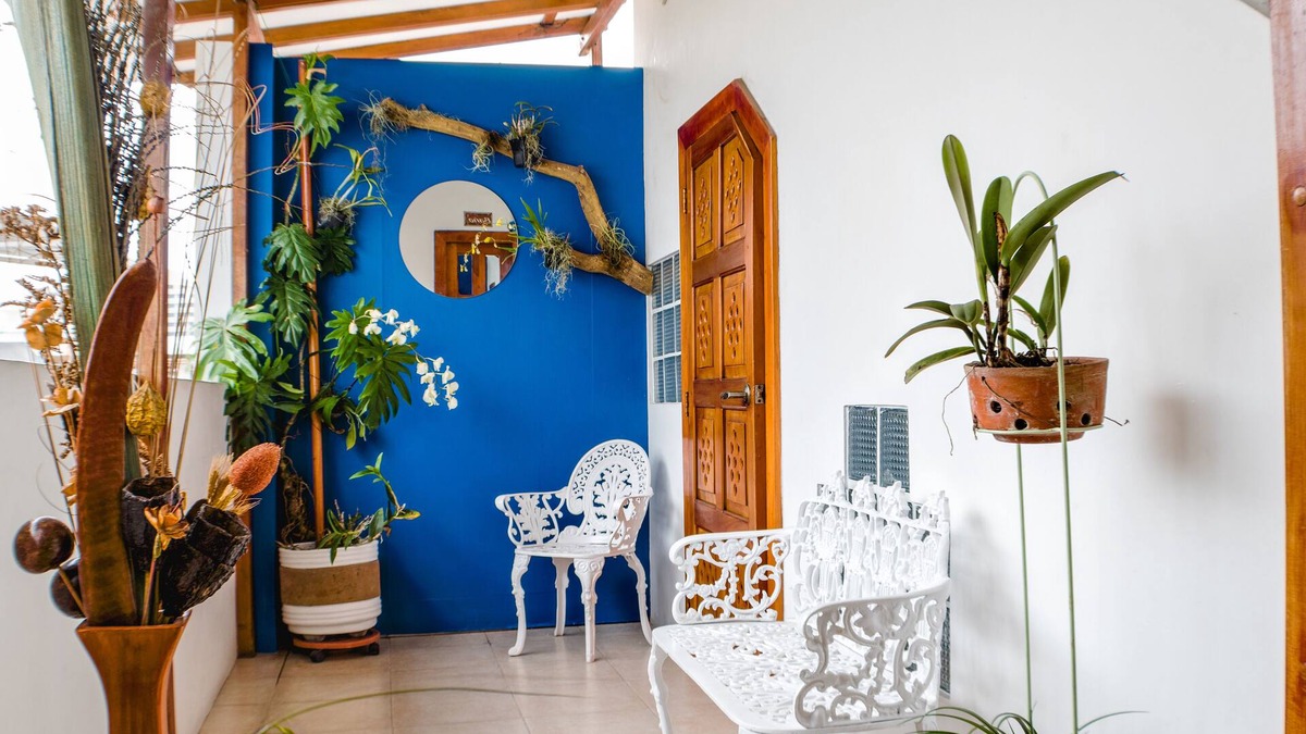 Kennedy Bed & Breakfast | Hostal Macaw