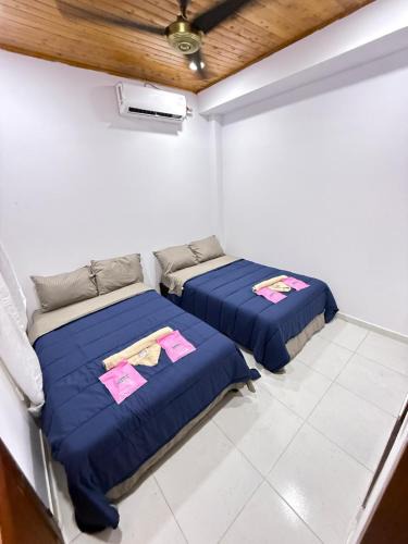 Necocli House | hostal orquideas de auri