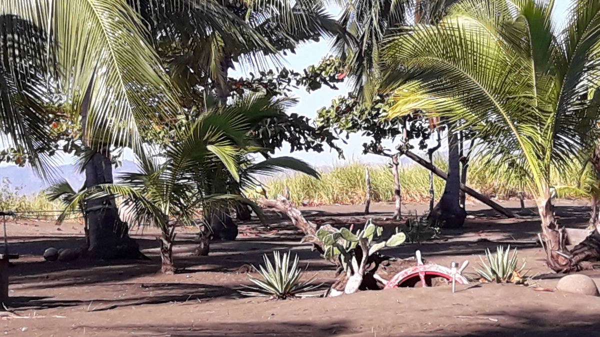Canas Cabin | Hostal Pachamama