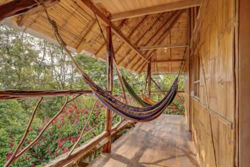 Tena House | Hostal Pakay