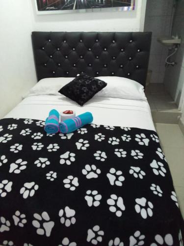 Sur Oriente House | Hostal Pietrasanta