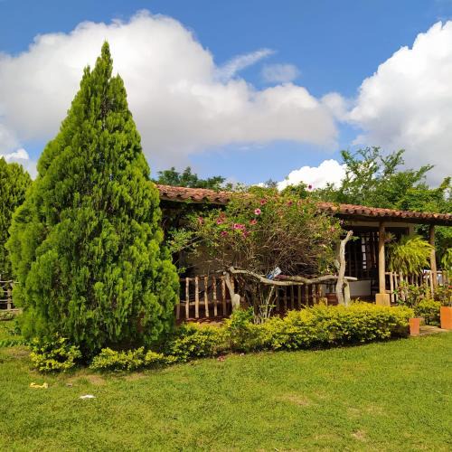 Pinchote House | Hostal Sueño Real Campestre