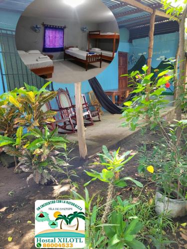 Ometepe Island House | Hostal Xilotl