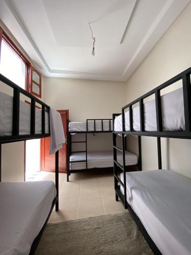 Tarmigt Hostel | Hostel dallas Warzazate