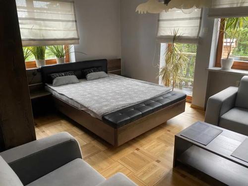 Minsk Mazowiecki Hostel | Hostel LUNA
