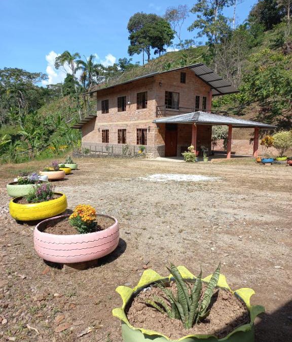 Ecuadorian Amazon House | Hostería Los Arbolitos
