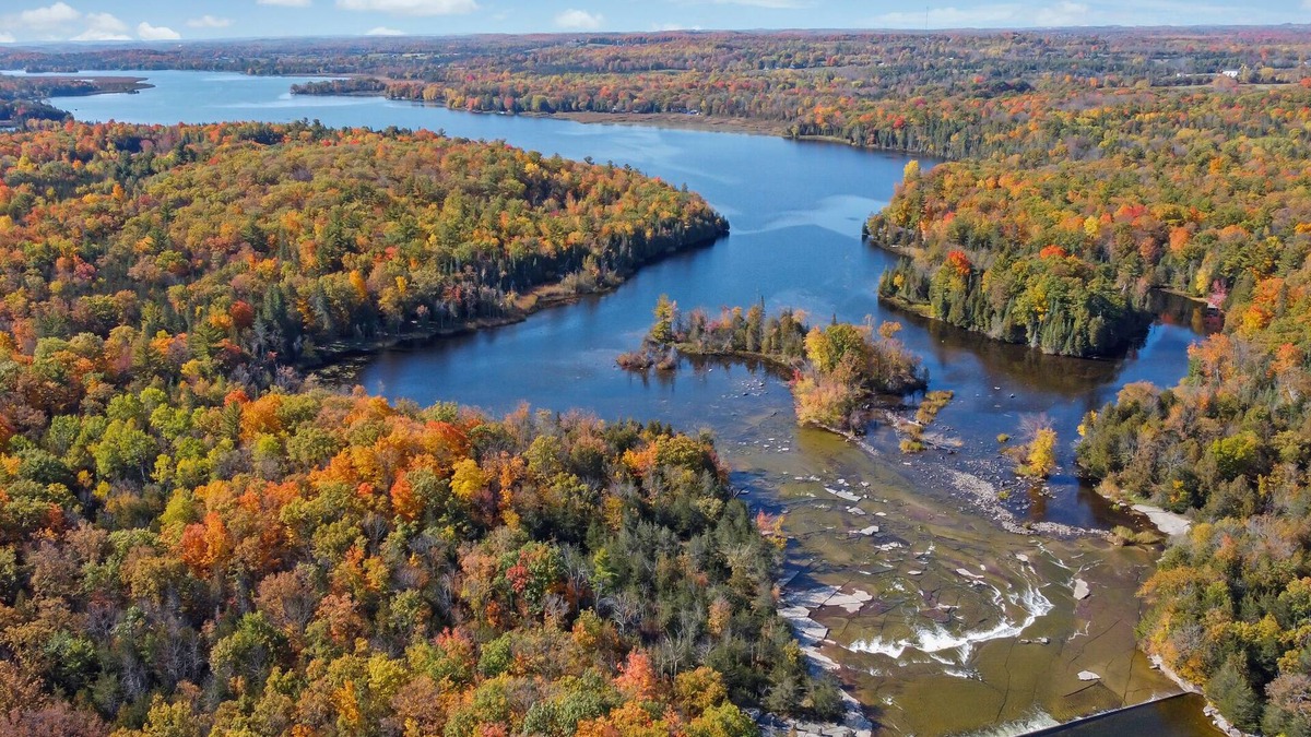 Campbellford Cottage | Hot Tub/Cottage on Crowe River/Acc 4 Adults + 2 children/pets