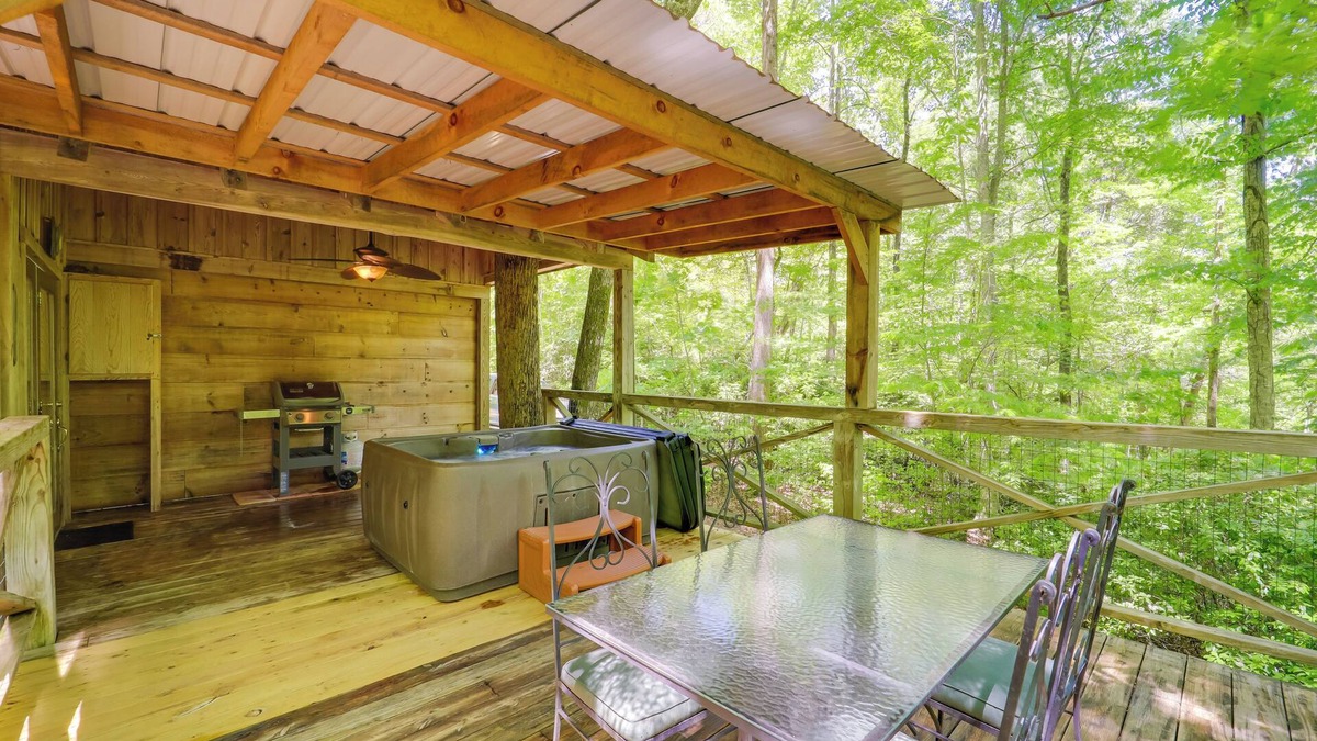 Vein Mountain Cabin | Hot Tub & On-Site Trails: Secluded Marion Cabin