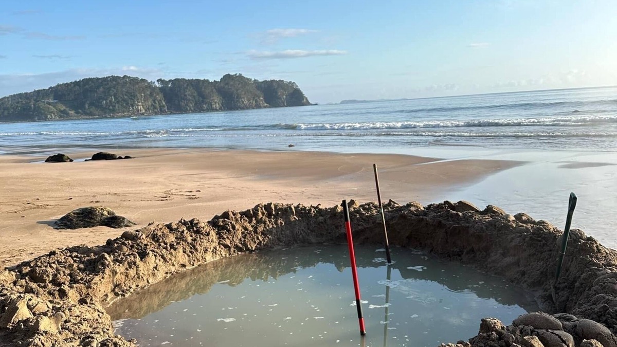 Whenuakite Other | Hot Water Beach Farm Stay - excellent facilities for the whole family to enjoy