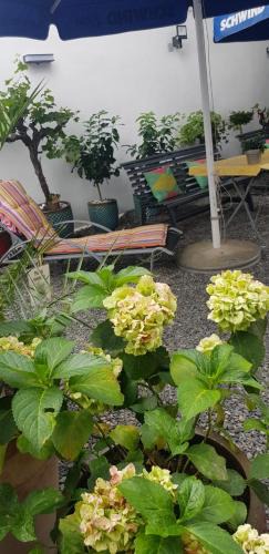 Leider Hotel | Hotel Adriana