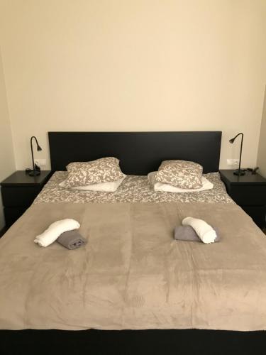 Siauliai County Hotel | Hotel Akmenė