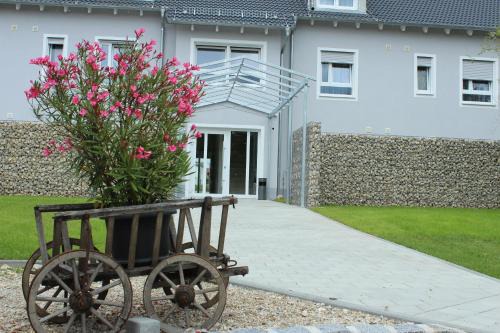 Stammham Hotel | Hotel Alex