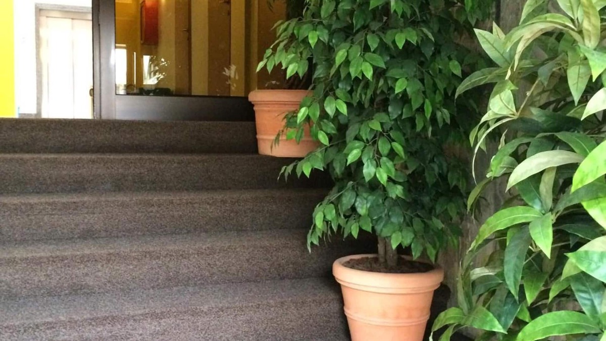 Vimodrone Hotel | Hotel Arcobaleno