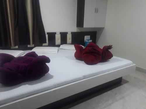 Ajmer Hotel | Hotel Arzoo Palace