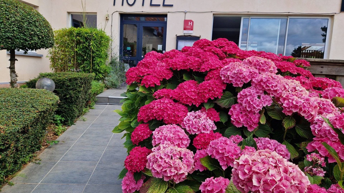 Tournehem-sur-la-Hem Hotel | Hotel Bal