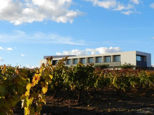 Entrena Hotel | Hotel-Bodega Finca de Los Arandinos