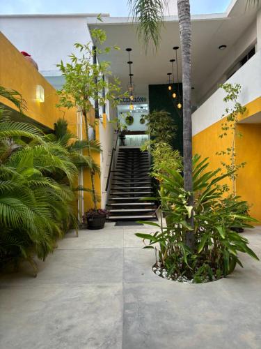Olimpica Hotel | Hotel Boutique Ixaya