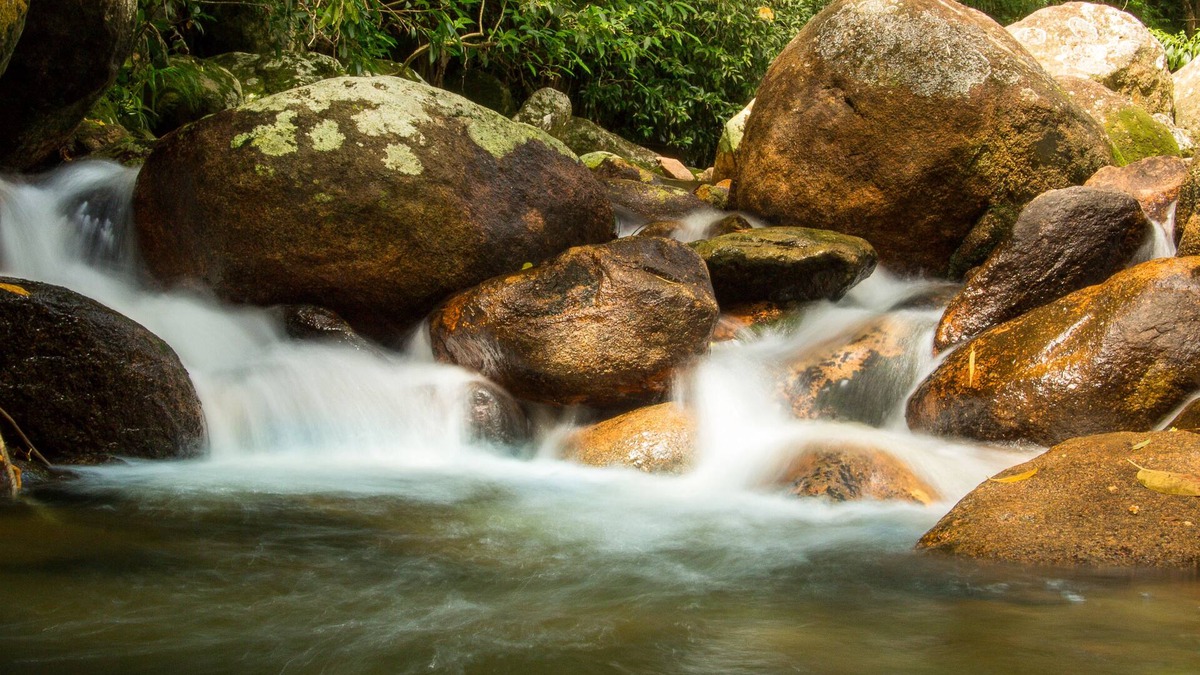 Santo Amaro da Imperatriz Hotel | Hotel Caldas da Imperatriz