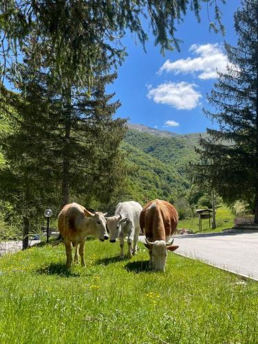 Leonessa Hotel | HOTEL CAMPO STELLA