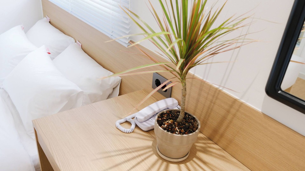 Pocheon Hotel | HOTEL CARPET