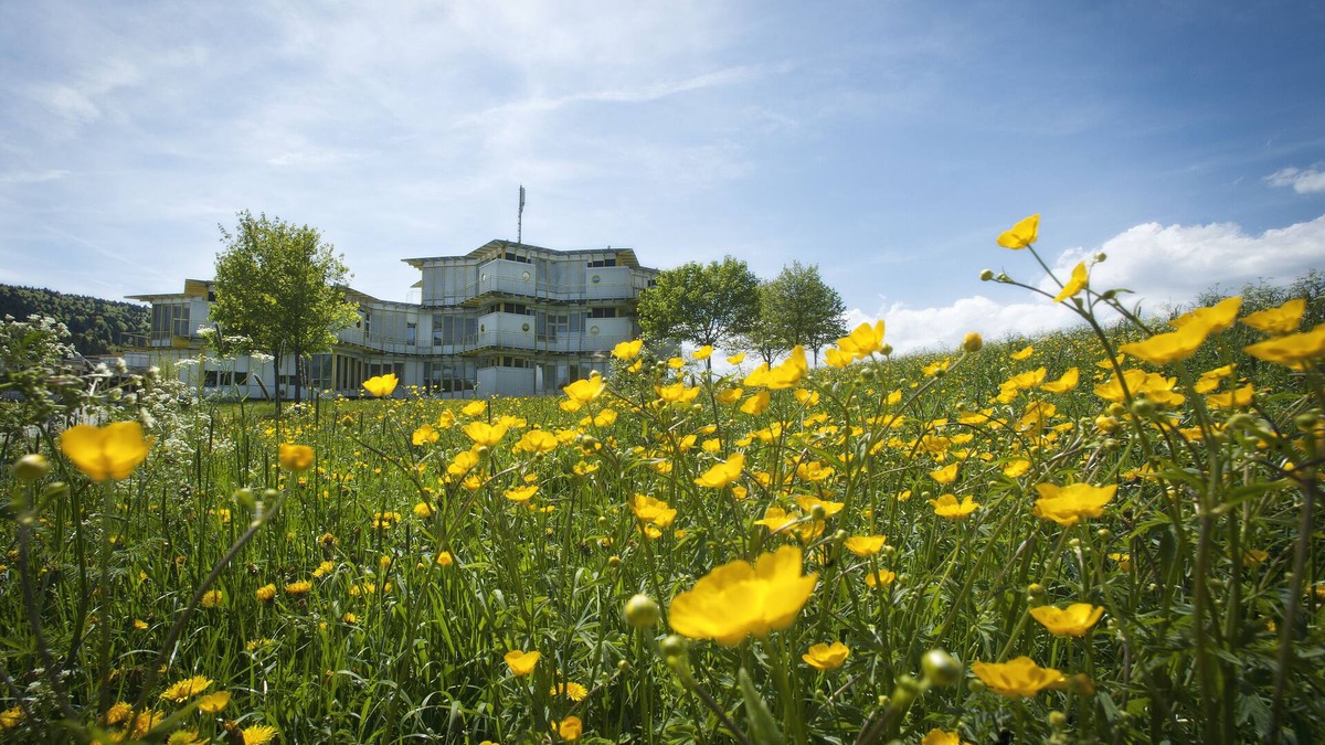 Tramelan Hotel | Hotel CIP