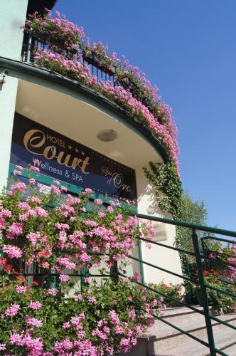 Kedzierzyn Kozle Hotel | Hotel Court Wellness&Spa
