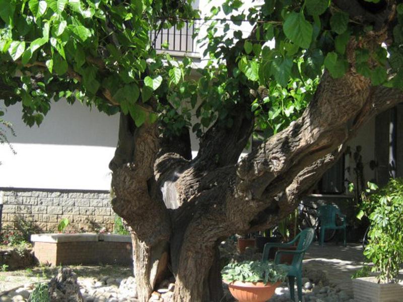 Attigliano Hotel | Hotel da Rosanna