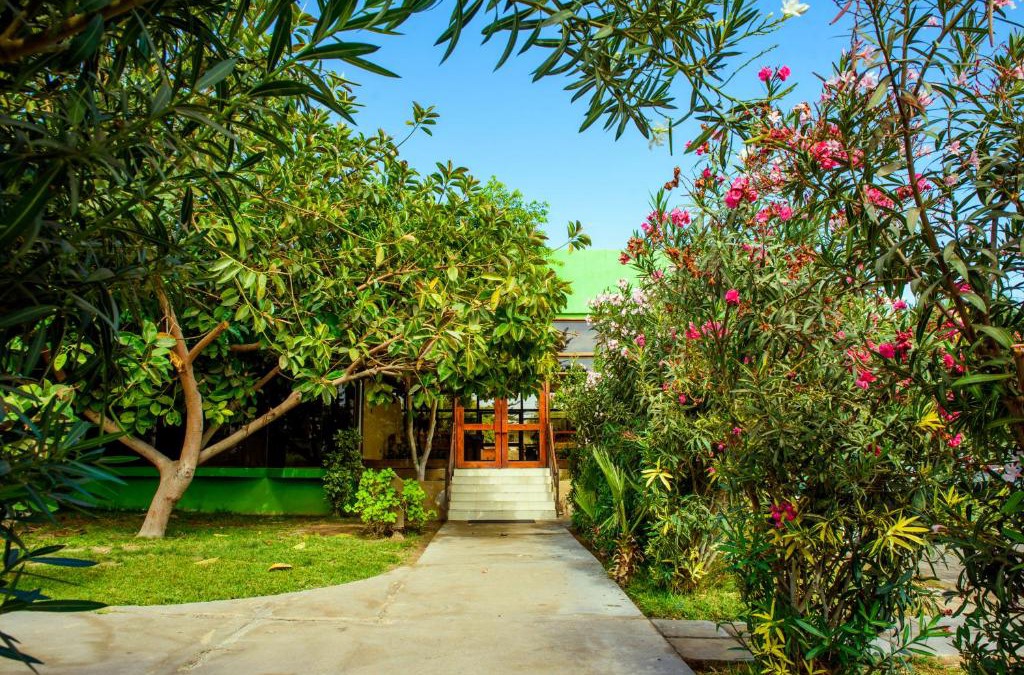 Arica Hotel | Hotel del Valle Azapa