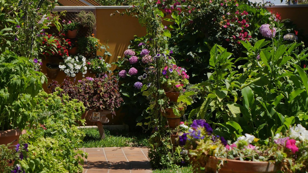Sector I - El Inglesillo Hotel | Hotel Doñana Blues