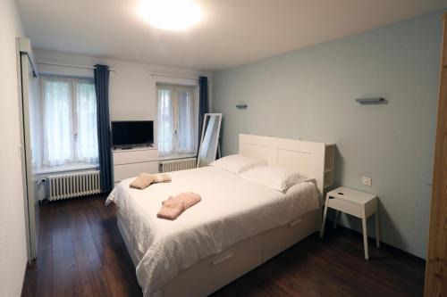 Grandson Hotel | Hotel du Lac Grandson
