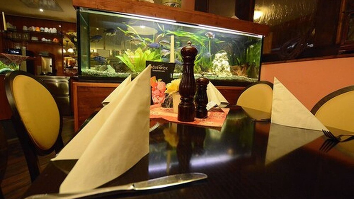Bischofswerda Hotel | Hotel Evabrunnen
