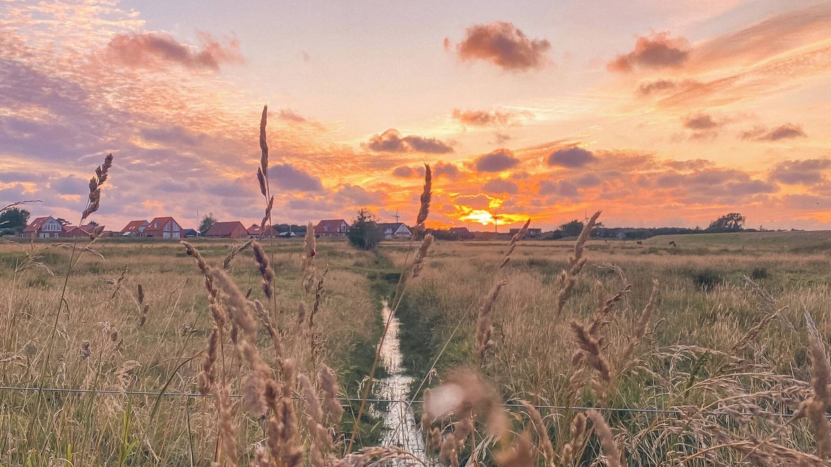 Nordby Hotel | Hotel Fanø