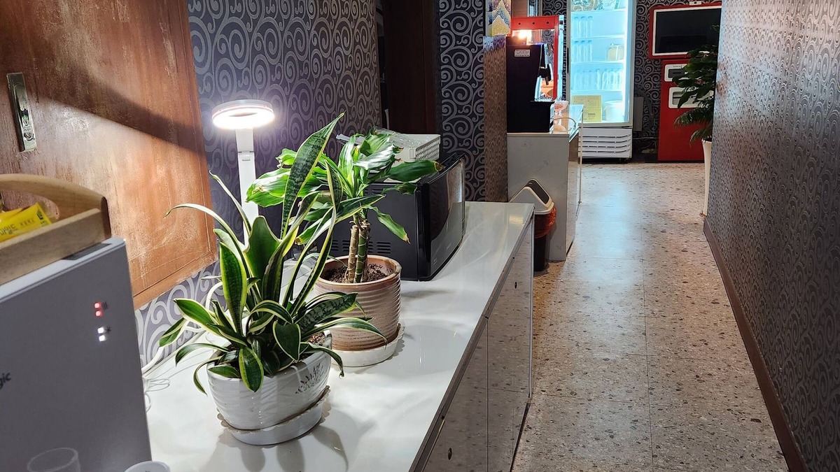Seo-gu Hotel | Hotel Hany