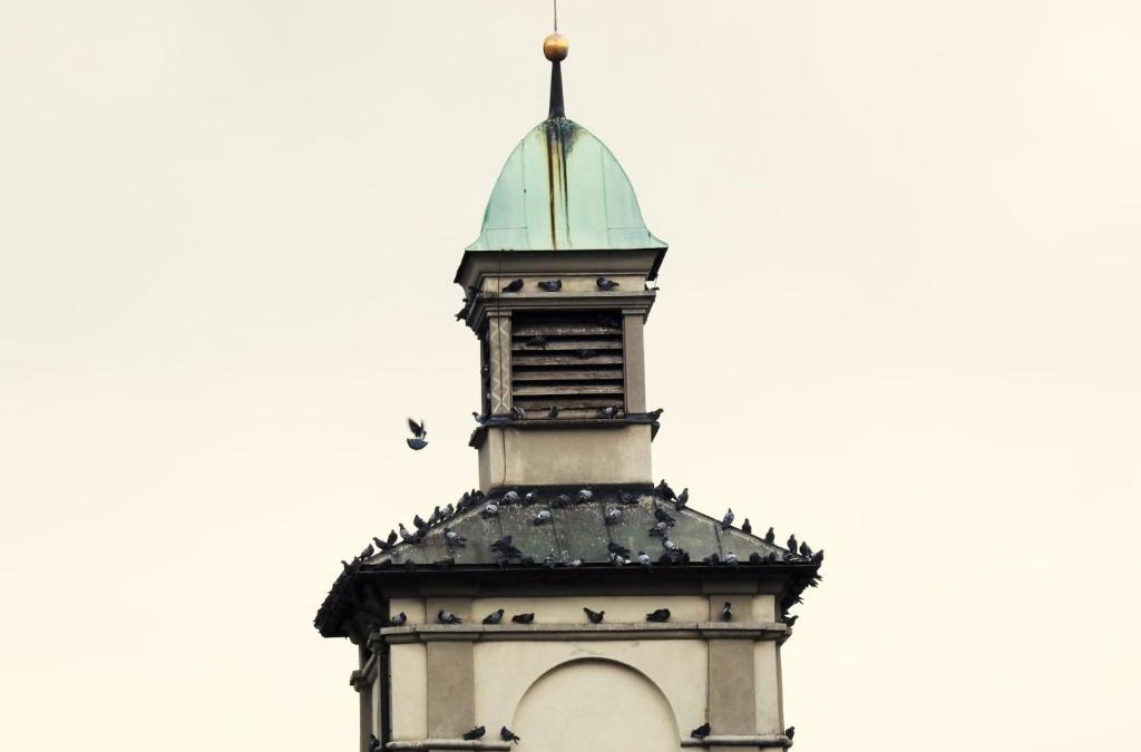 Feldkirch Hotel | Hotel Hecht