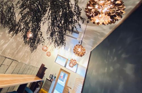 Kanoya Hostel | HOTEL&HOSTEL HARU