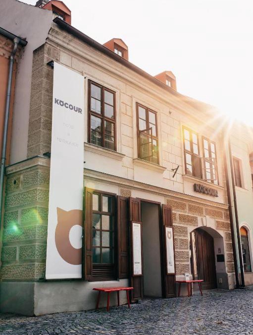 Trebic Hotel | Hotel Kocour