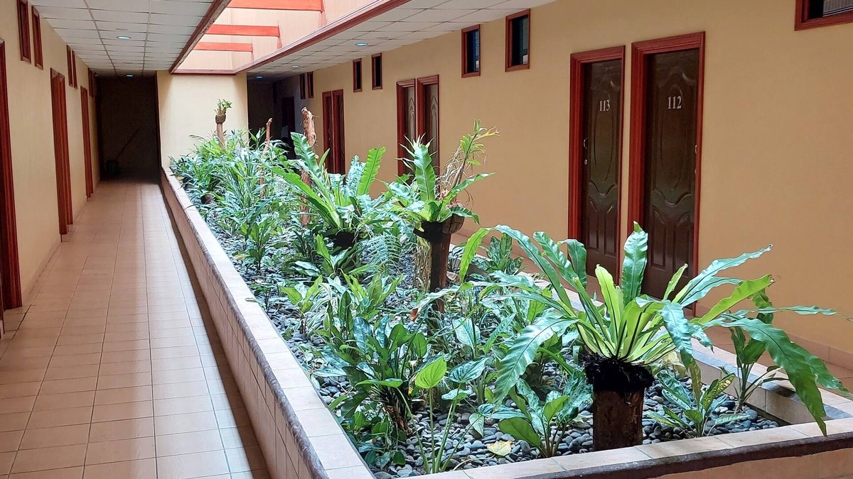 Kokopo Hotel | Hotel Kokopo