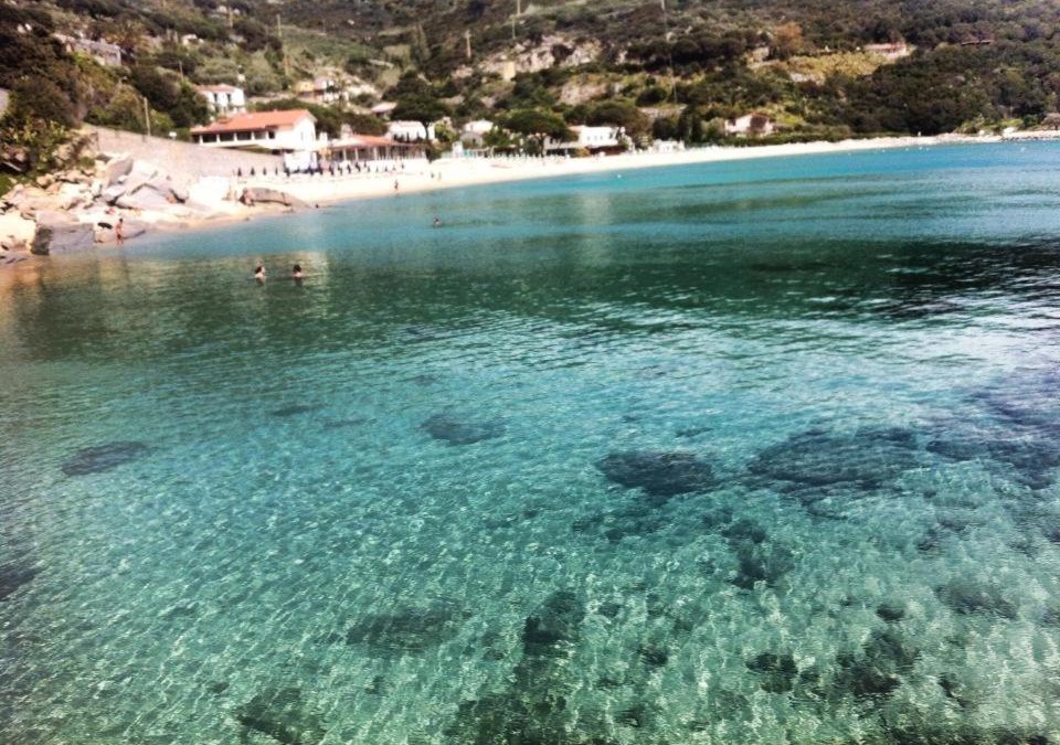 Cavoli Hotel | Hotel la Conchiglia