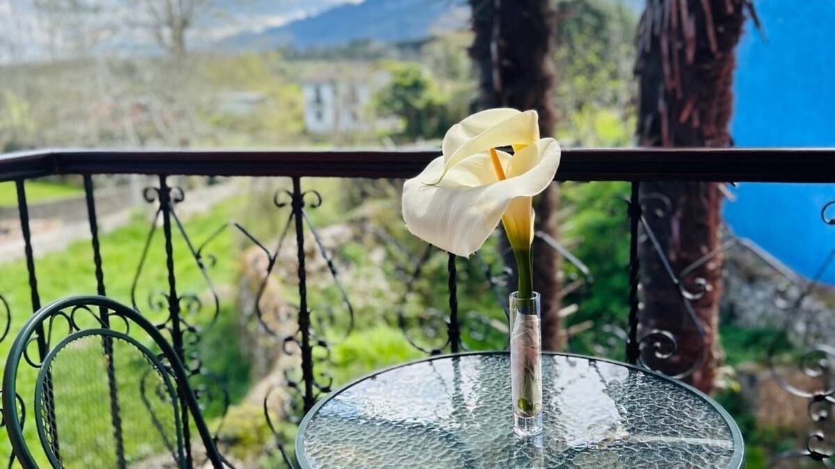 Celorio Hotel | Hotel Las Palmeras
