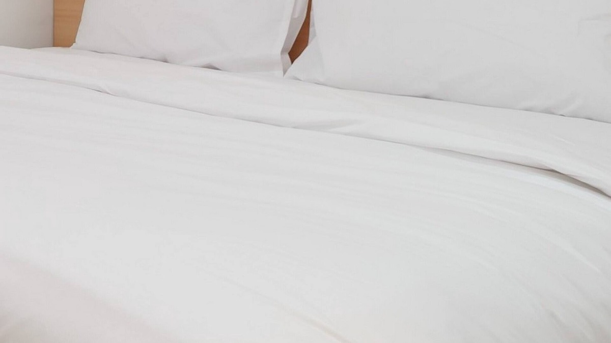 Patrang Hotel | Hotel Lestari Near Lippo Plaza Mall Jember