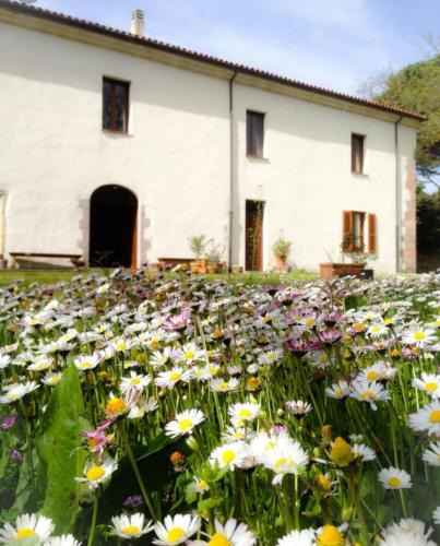 Villanova Monteleone Hotel | Hotel Locanda Minerva